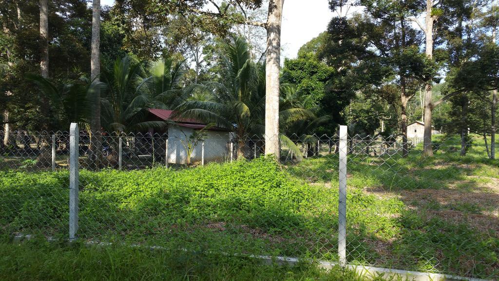 Chalet Kampong Semawar Kuala Kangsar Ngoại thất bức ảnh