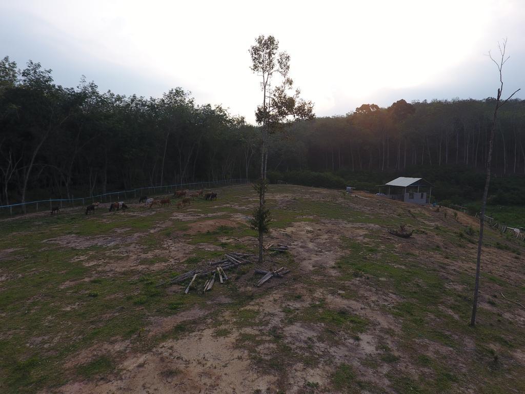 Chalet Kampong Semawar Kuala Kangsar Ngoại thất bức ảnh